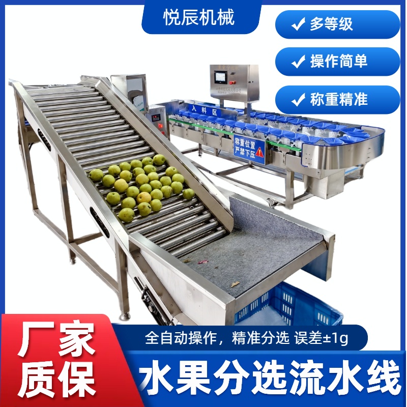 水果分选流水线