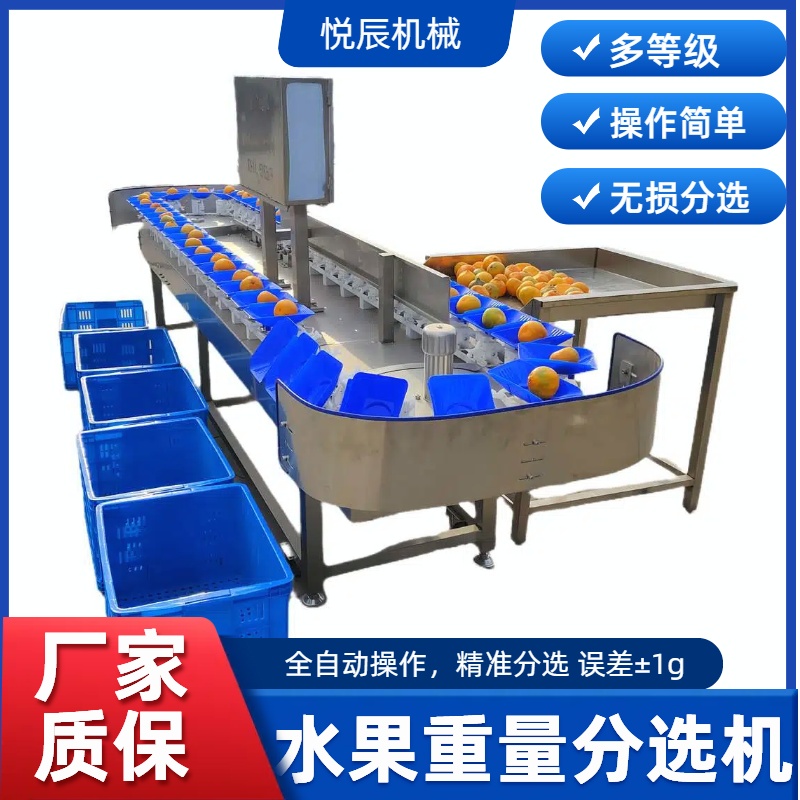 水果选果机