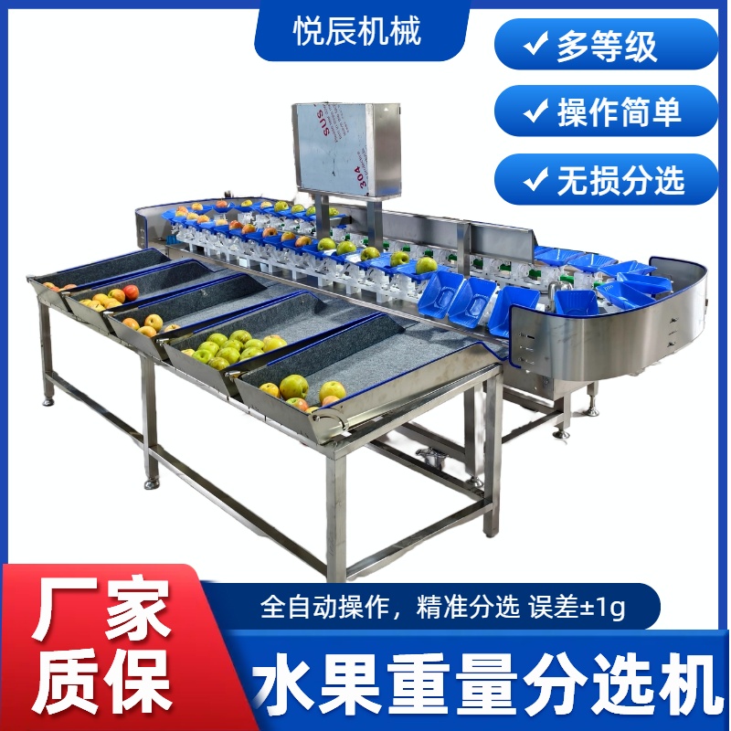 水果选果机