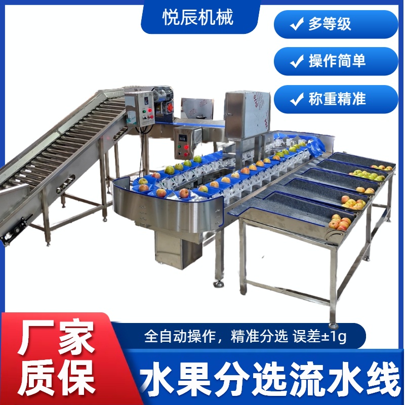 水果分选流水线