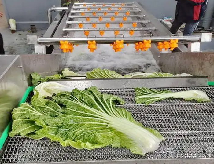 果蔬气泡清洗机的原理是什么？