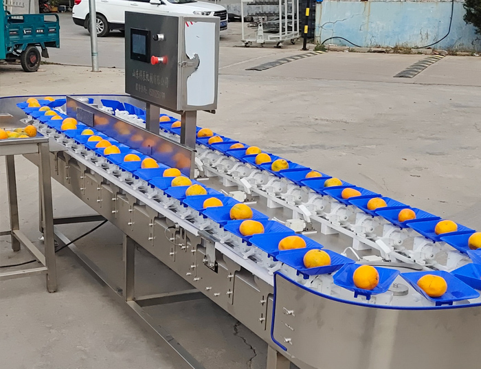 重量分选机工作原理