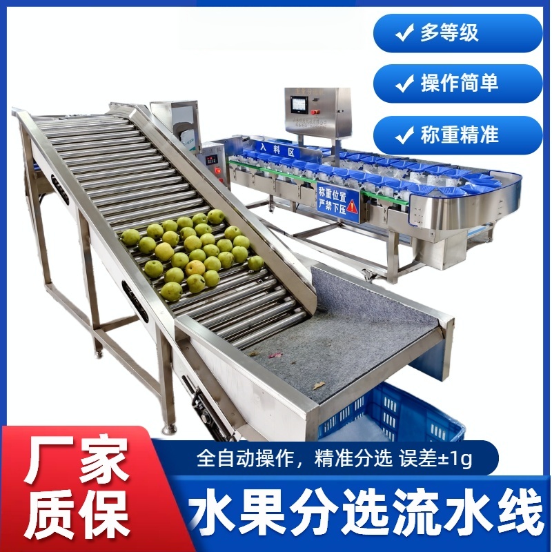 水果分选流水线